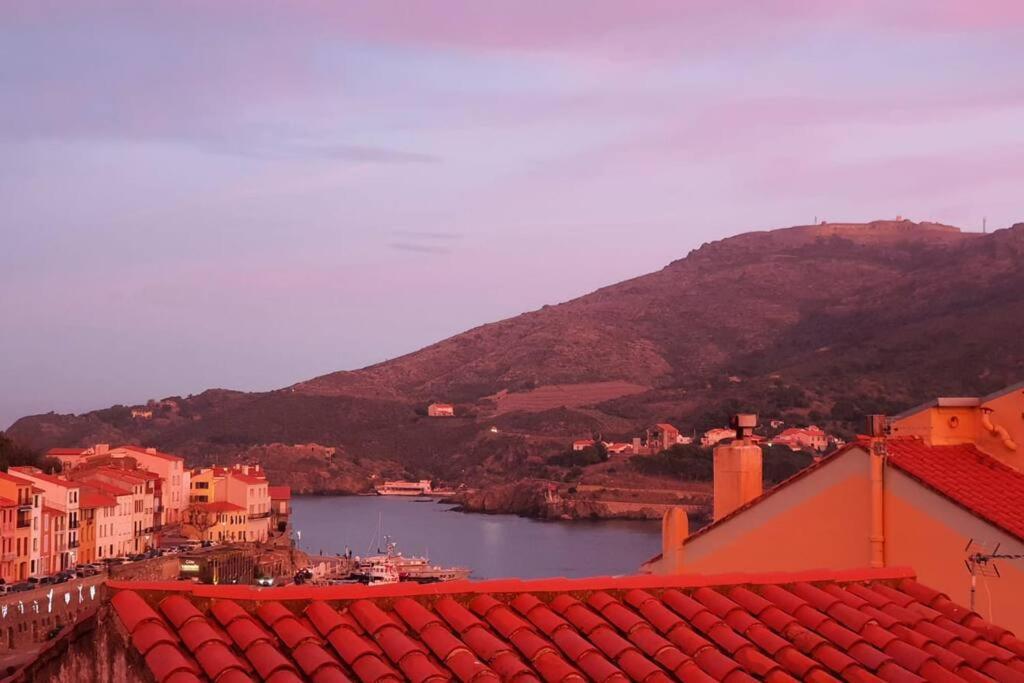 Le Belveze, Emplacement Central Et Calme Port Vendres Exterior photo