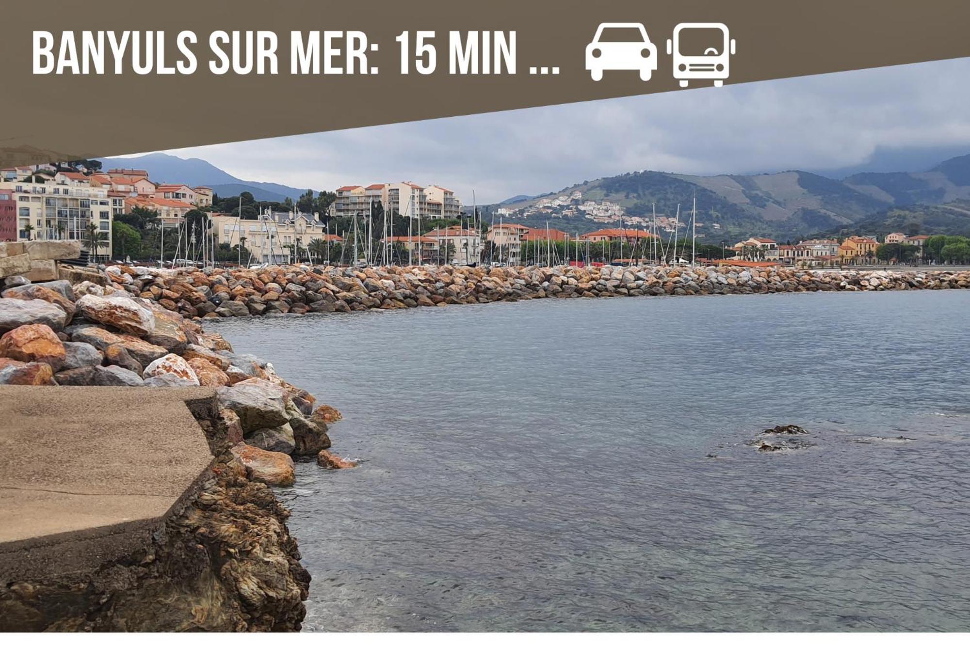 Le Belveze, Emplacement Central Et Calme Port Vendres Exterior photo